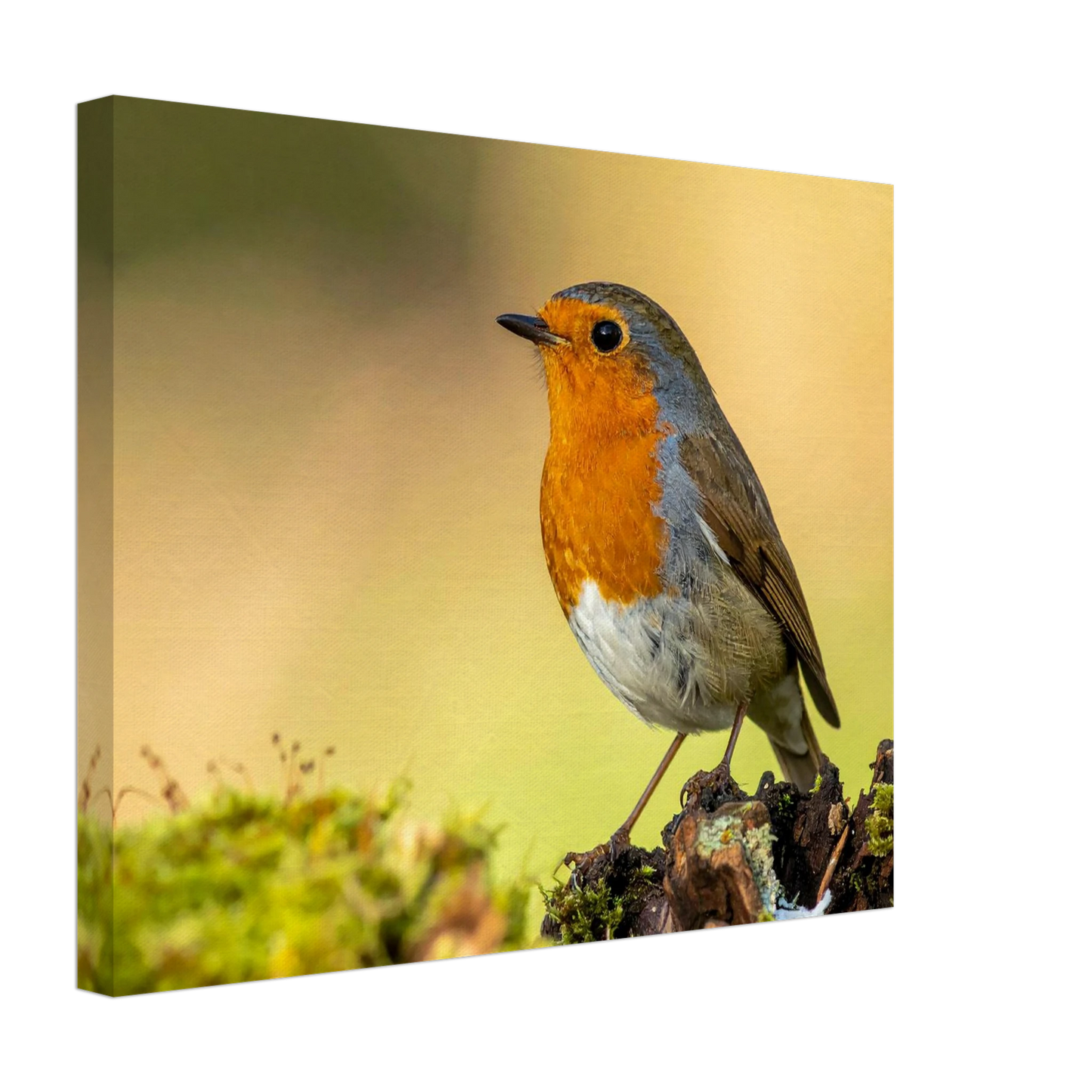 8cf41fc3-f140-4b4a-b0d7-334c4c3e2888