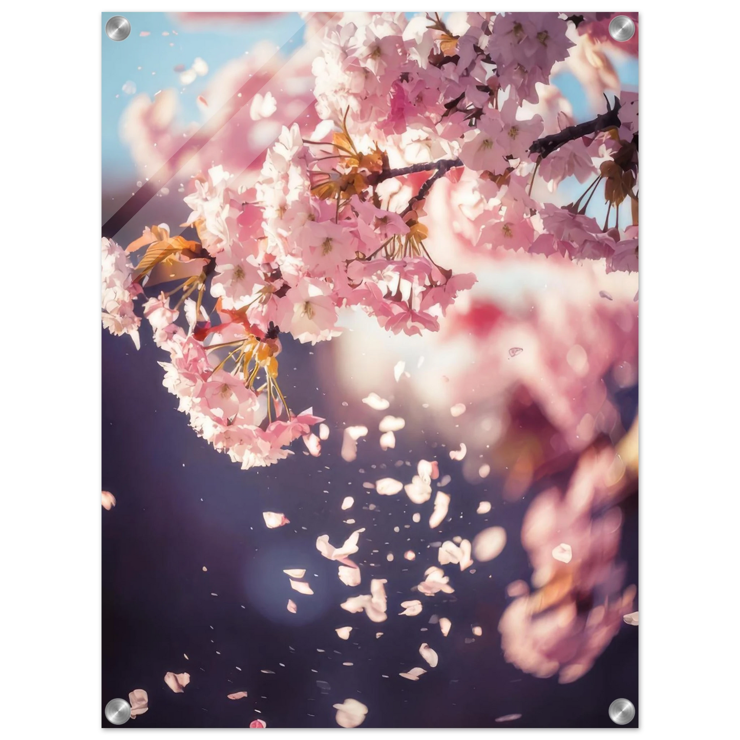 8f47a542-9f10-4de8-bfa1-af3cf74d9b25