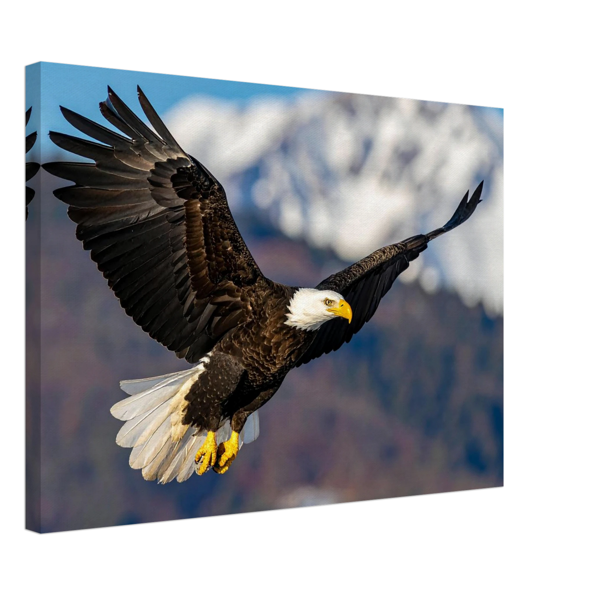 8f98e120-0b83-492a-bf8c-21c0ecbeb7fd