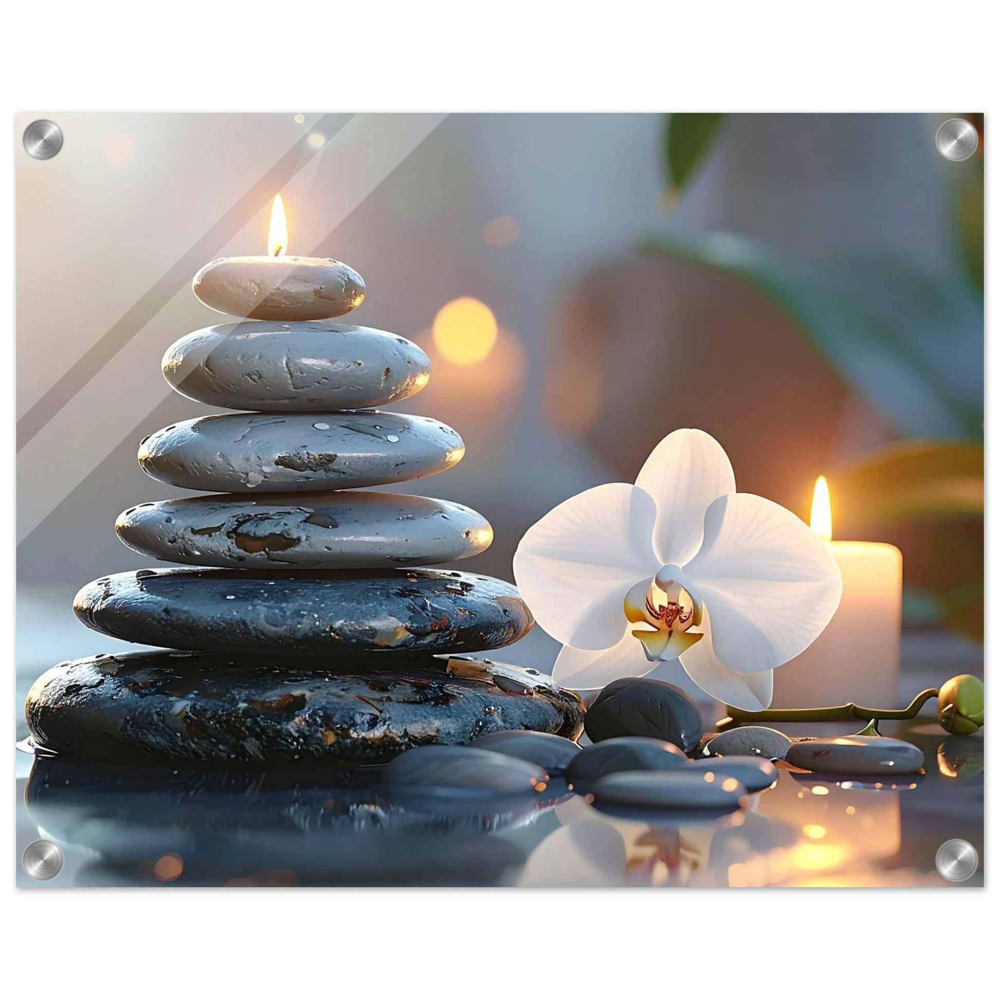 915842cb-05f5-45a9-8149-e1a1908b1211