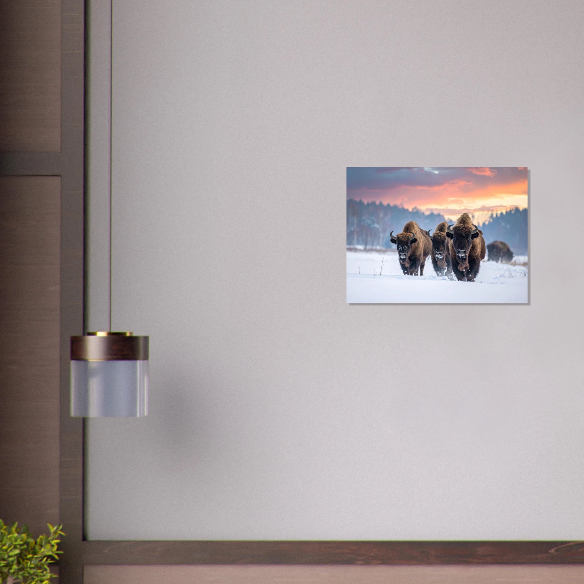 95c30b02-0c19-435f-927c-375fbf613a60