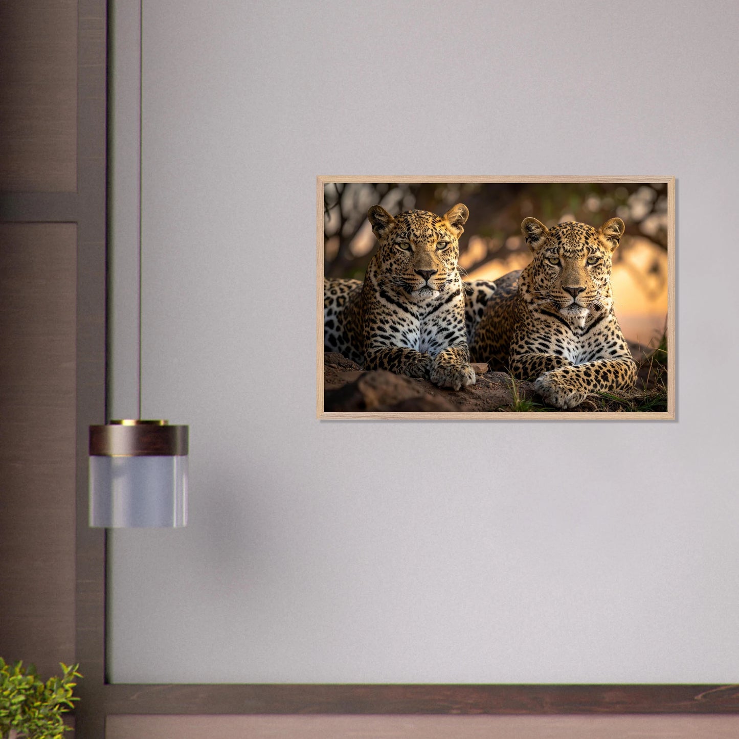 961f0b69-c5ba-4c00-be69-33b9d29a82ca