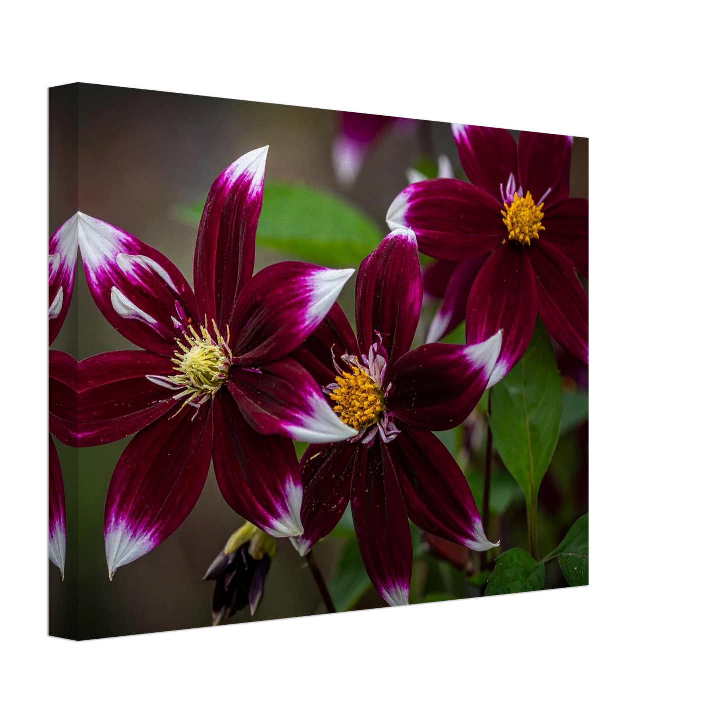 970da07b-f1d5-4a91-9c2e-39c989a7df65