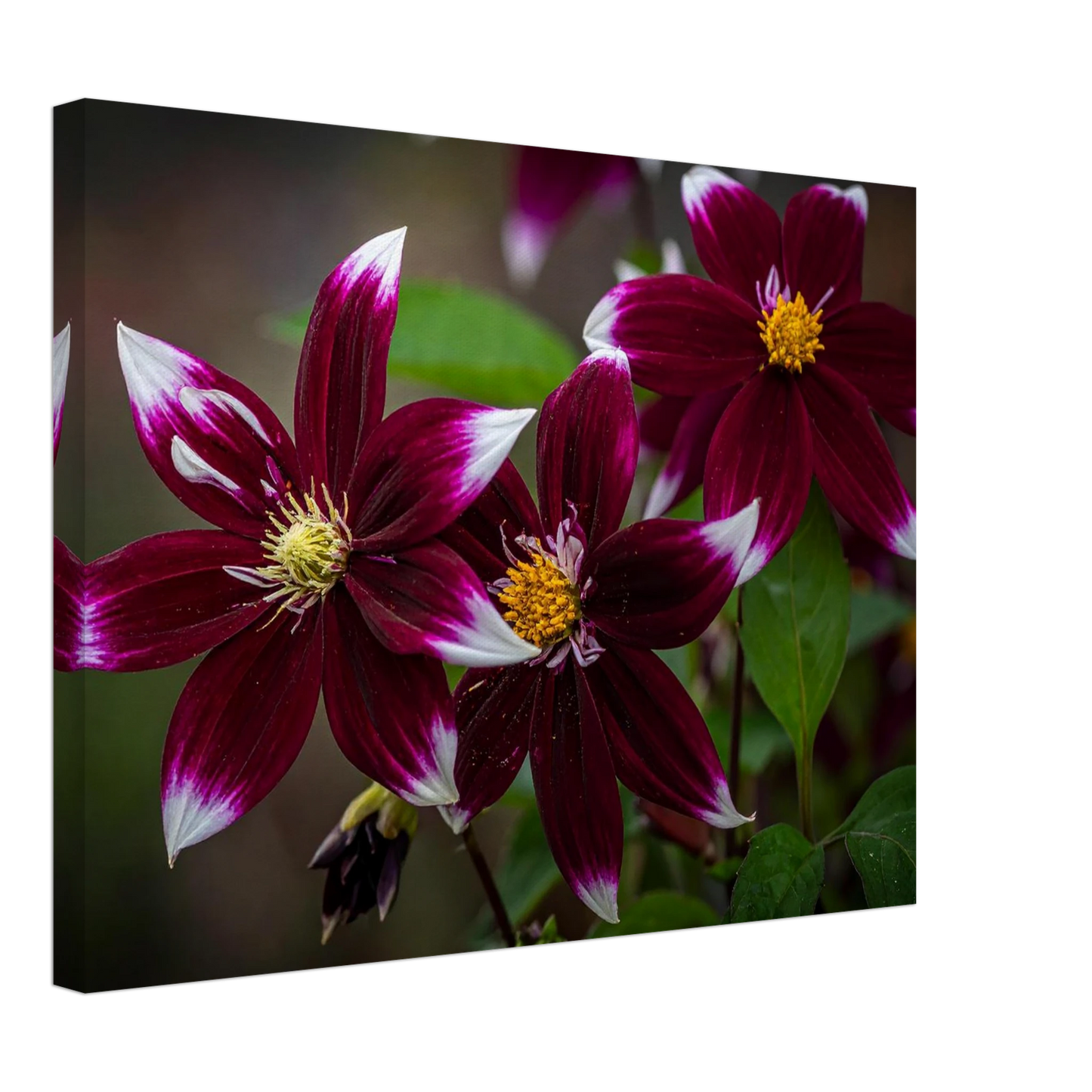 97ecc361-3864-4196-9a64-3320b4763f35