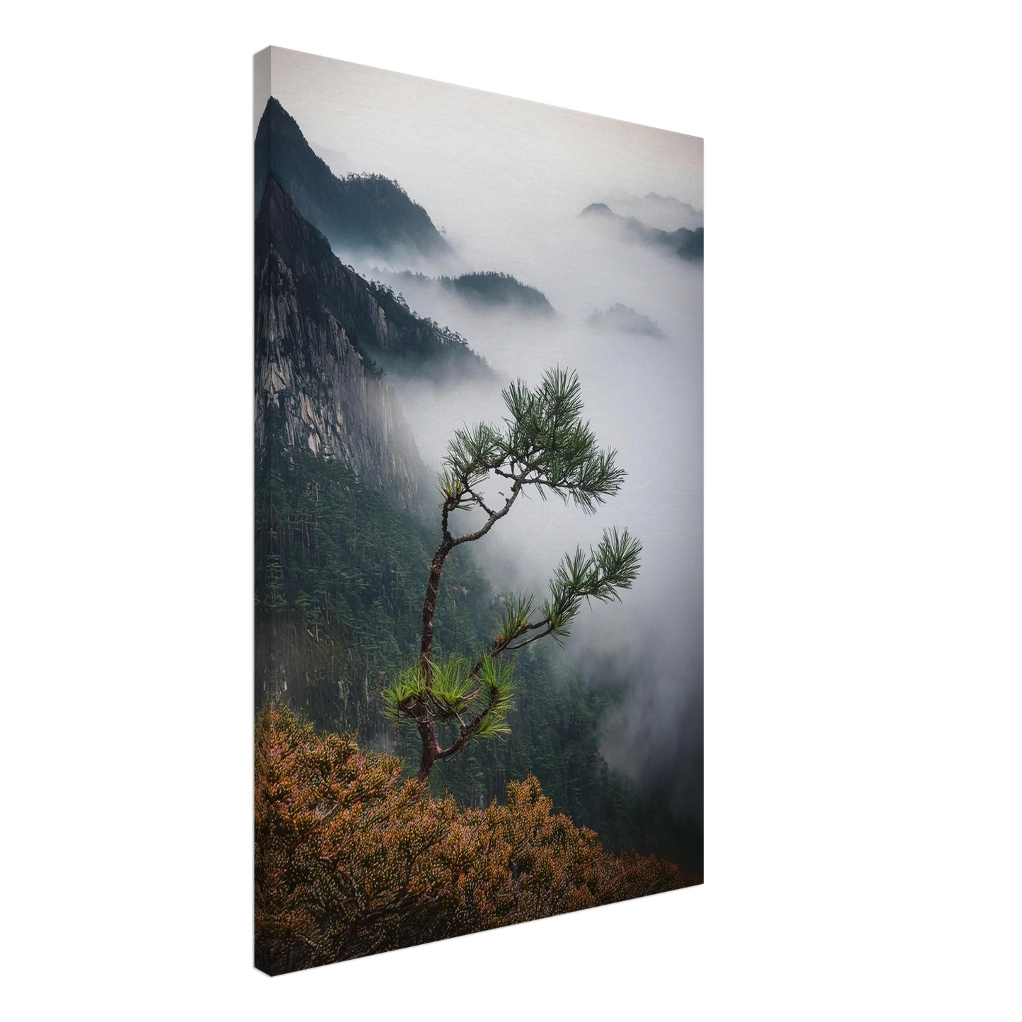 98df56d6-8852-43a0-b049-2020e5f8eafa