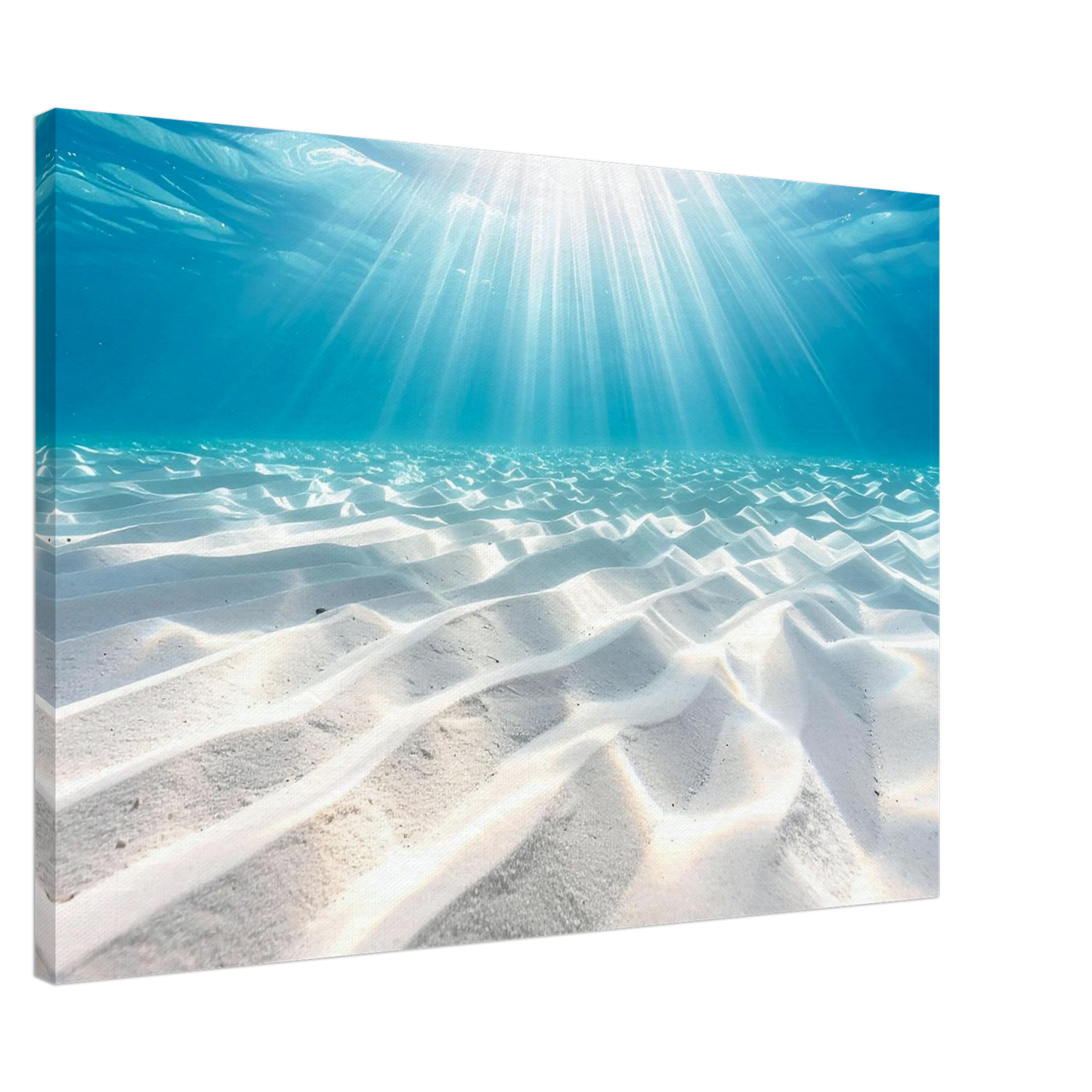 999493b9-d016-4170-bd69-ada10eb9fc50