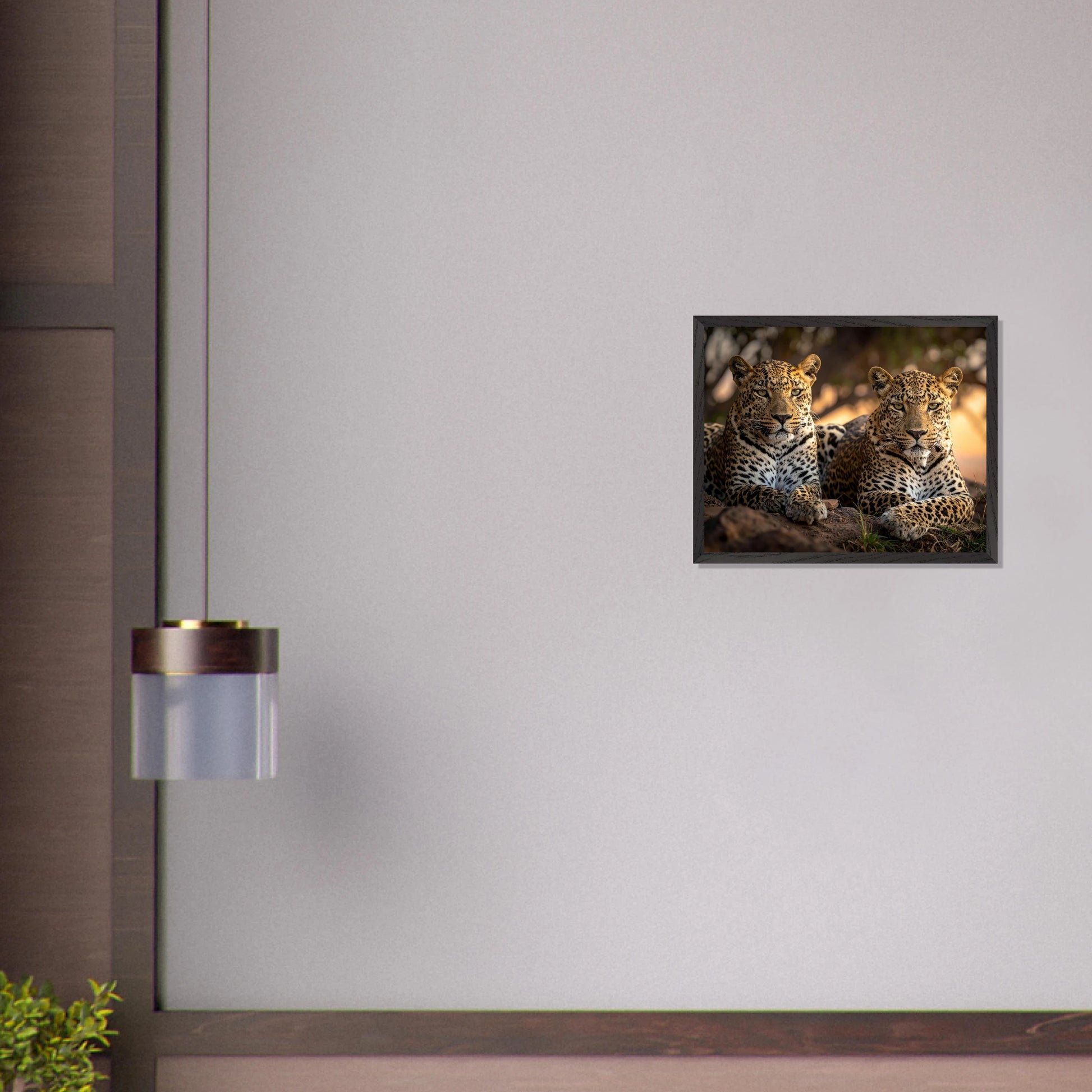 99b1ced8-72c1-437a-82e1-9571115f1df8