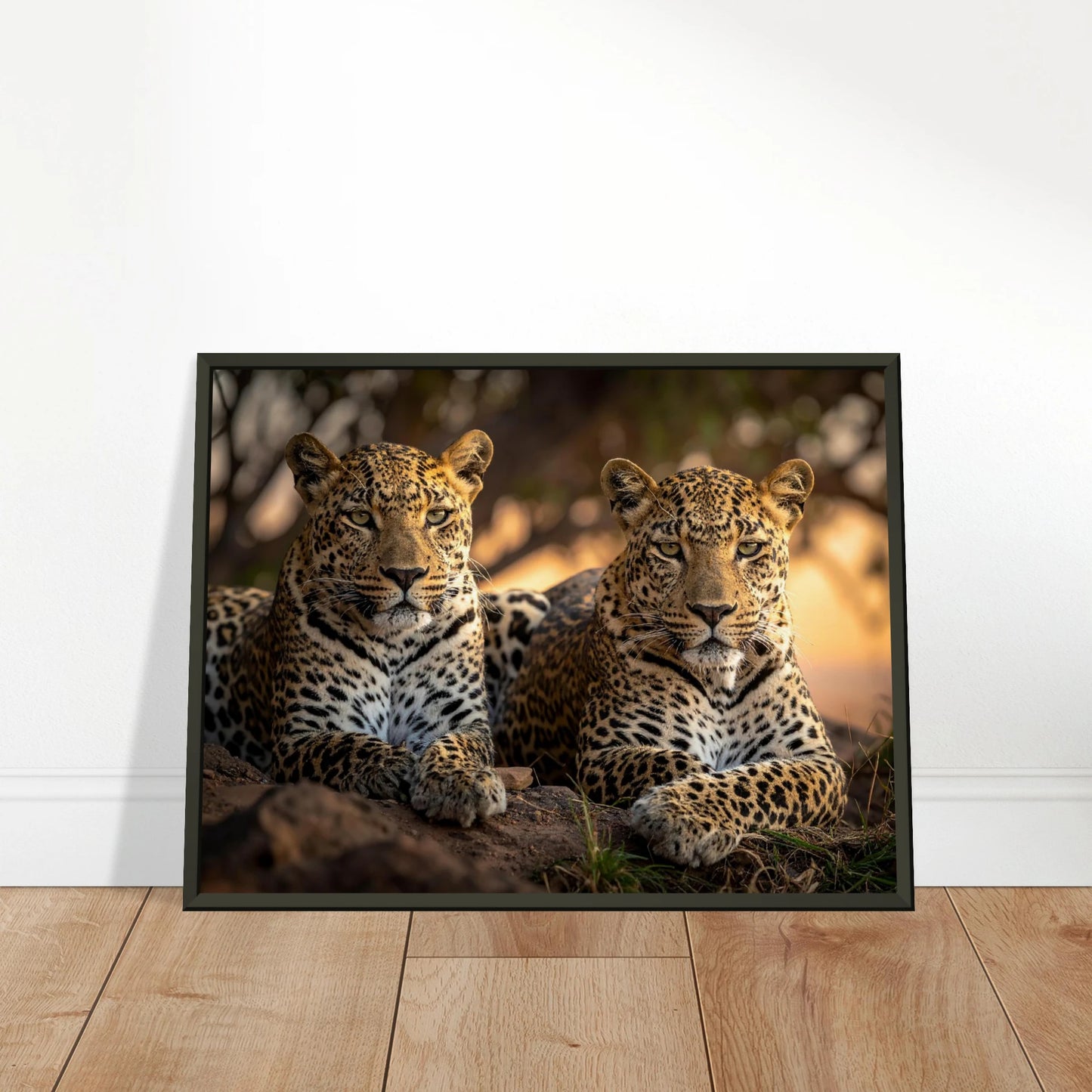 9c91e7c2-884f-4d07-96c7-e07ac08440e8