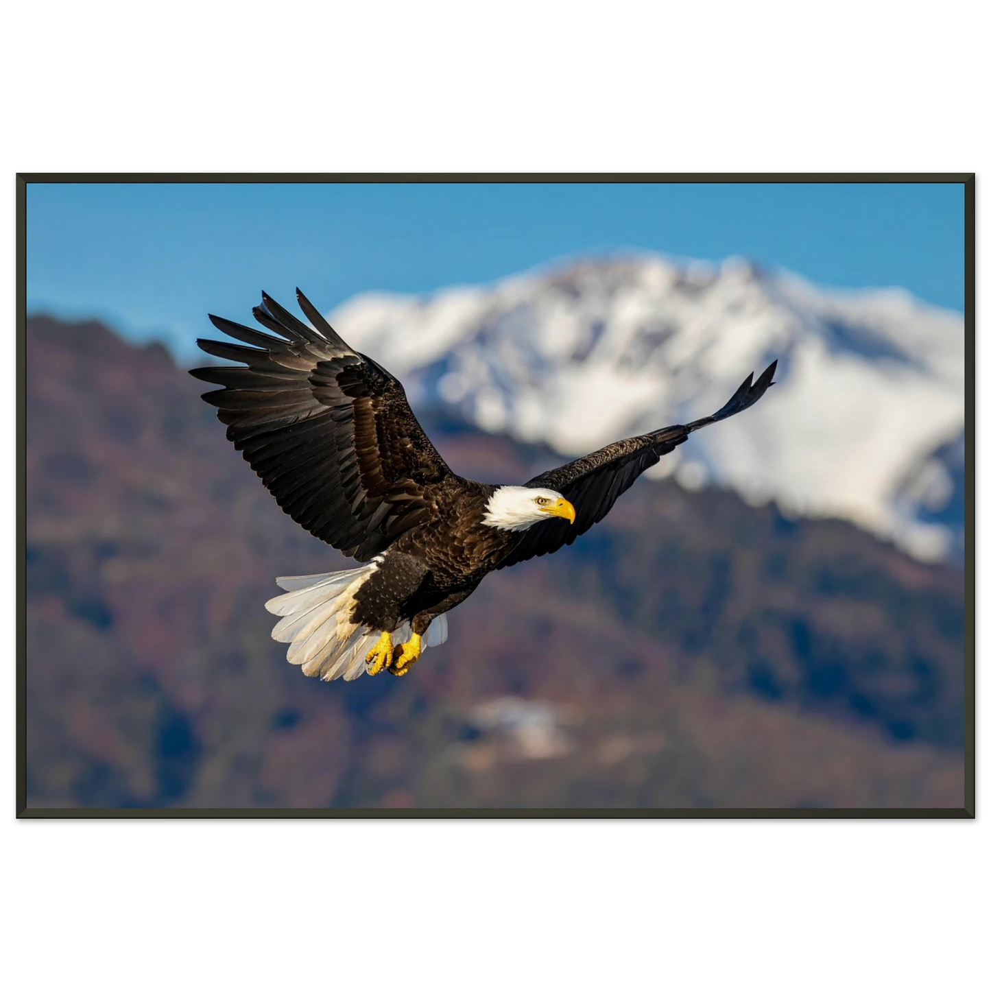 9d0adf3e-43d2-4eef-9a6d-7560e1b38102