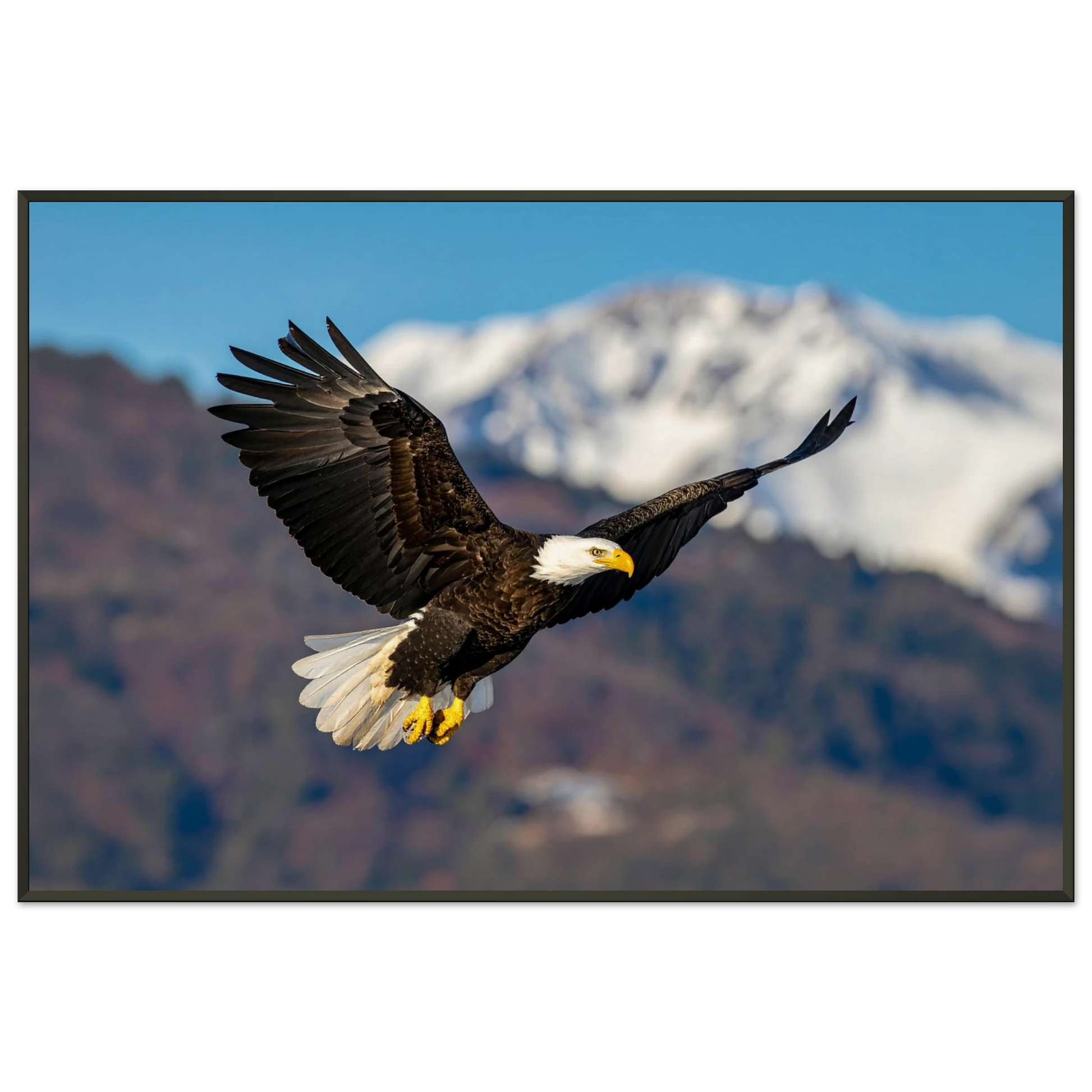 9d0adf3e-43d2-4eef-9a6d-7560e1b38102