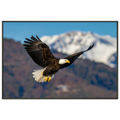 9d0adf3e-43d2-4eef-9a6d-7560e1b38102