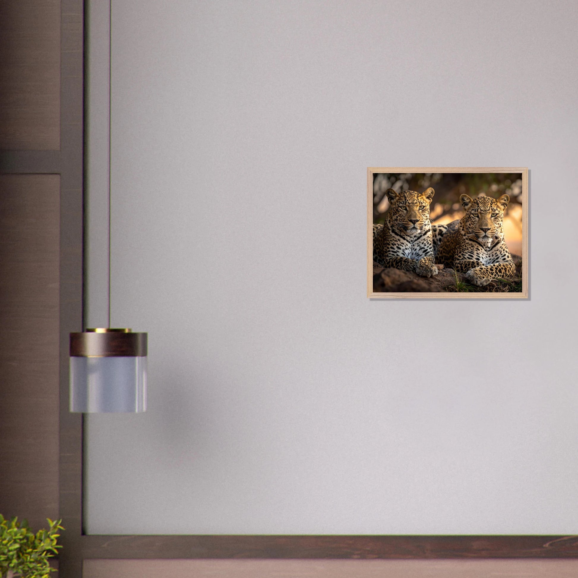 9fcd5f2c-9bbd-4da5-a553-6a4141b43906