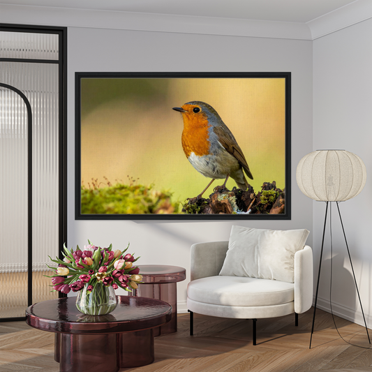 The Scarlet Visitor -  Red Robin Nature Portrait