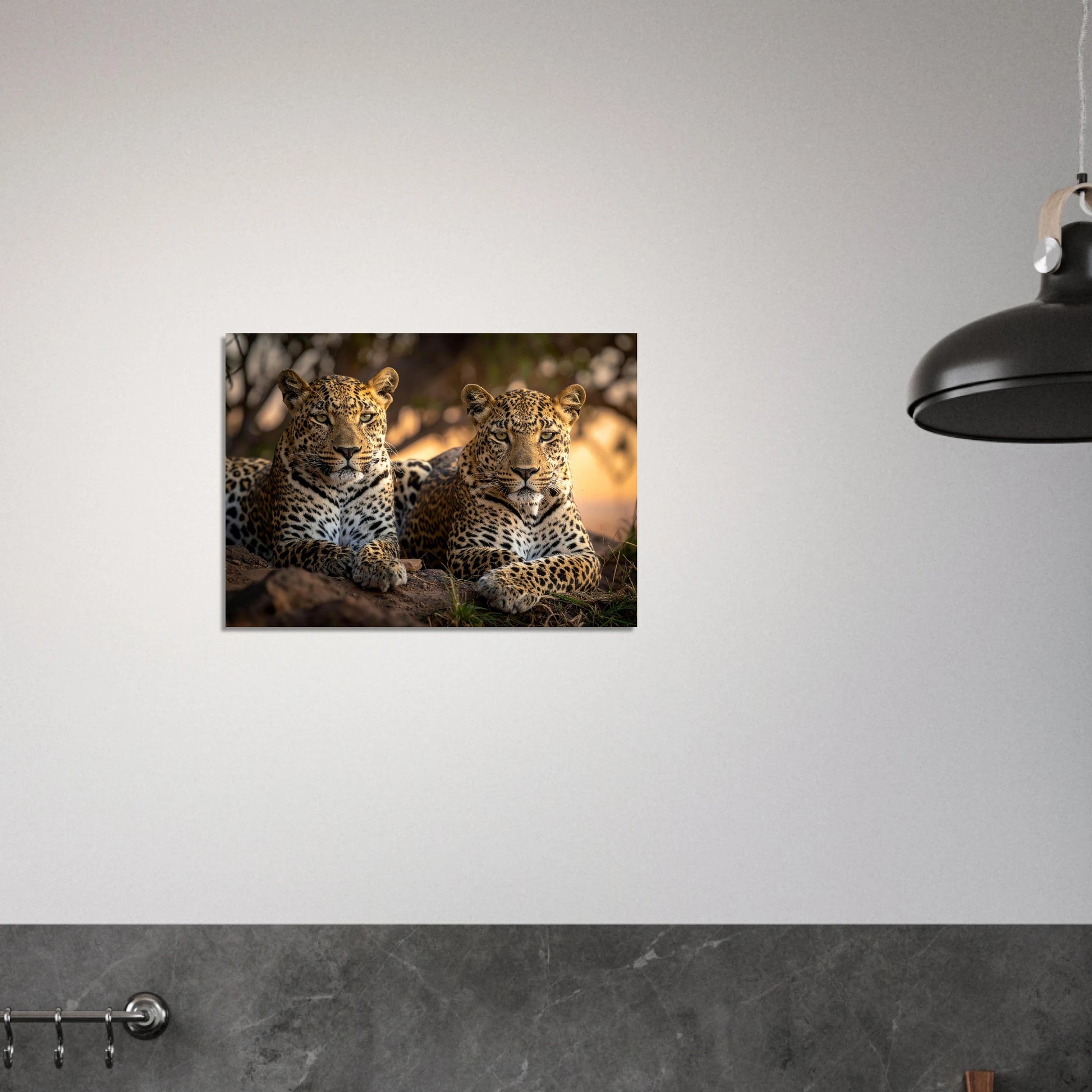 a17f5a8d-60b3-43a3-9645-77514fd2a2df