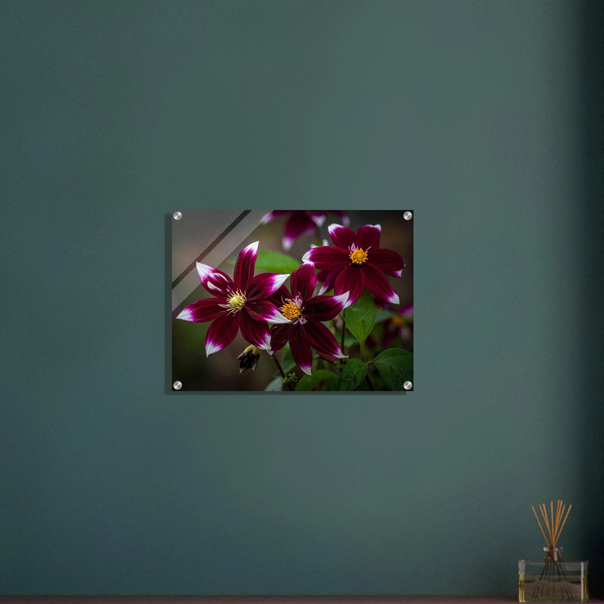 a49c83ba-8e72-4a1b-b685-6f593674026c