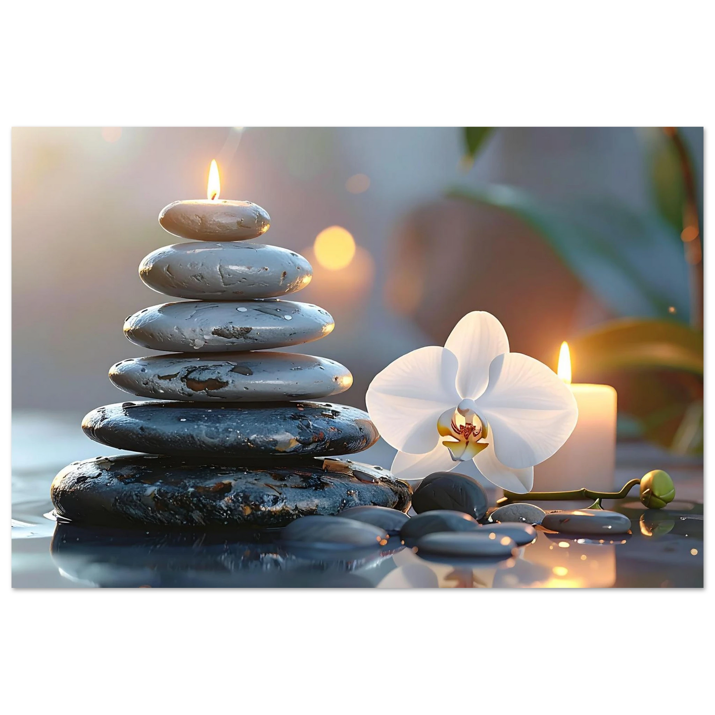 a64f06c8-f6c2-450d-8e94-8179c9828536