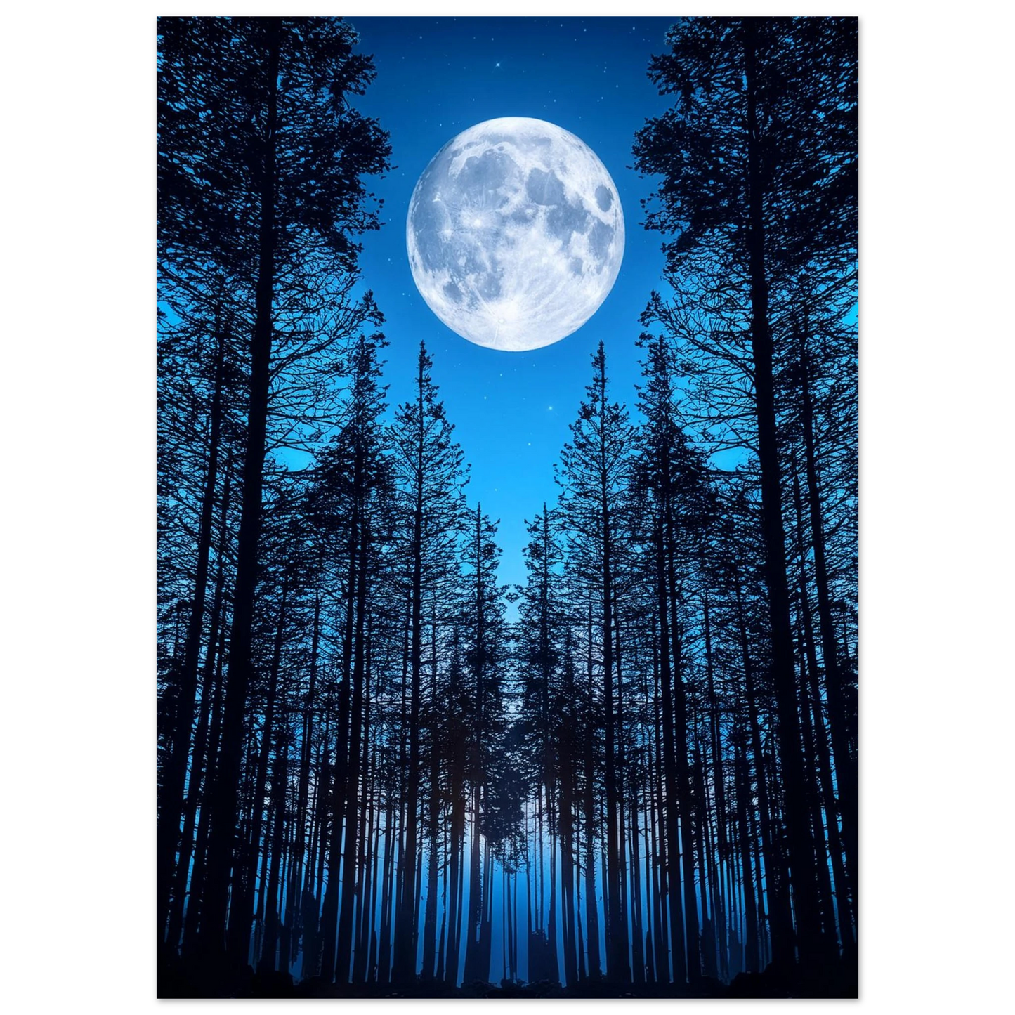 a9a91368-5f64-4975-ac9f-81c146107306