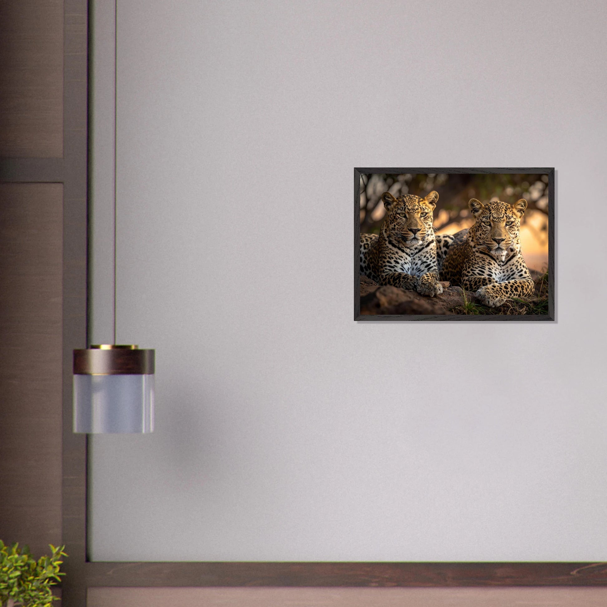 aa517d01-62c4-4672-8e9b-3fd4b4104e3d