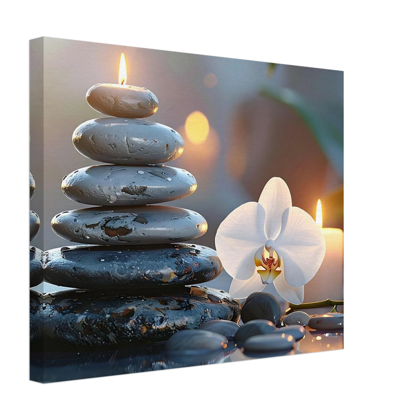 ae7070d7-3bad-4184-a5bc-7217093ddc3d