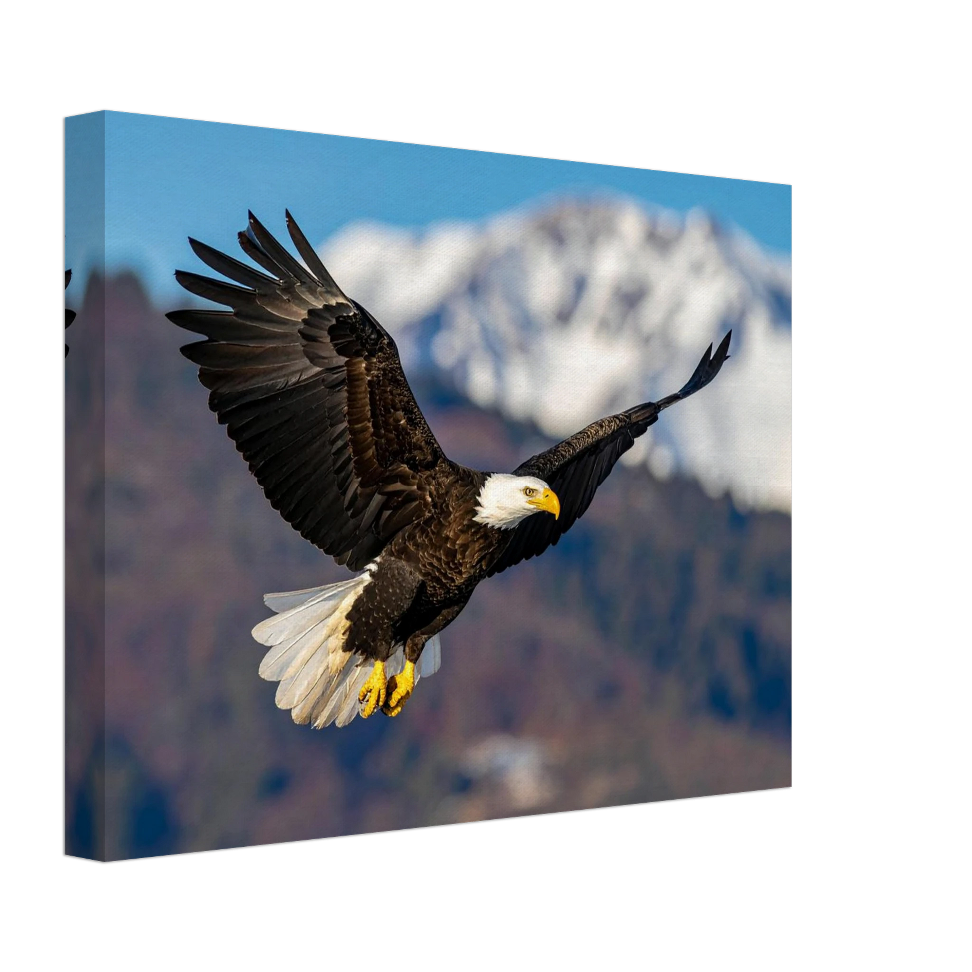 b045096e-ad19-4a79-80bd-4367a92960ef