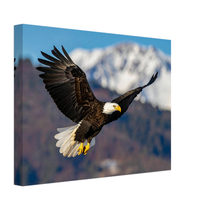 b045096e-ad19-4a79-80bd-4367a92960ef