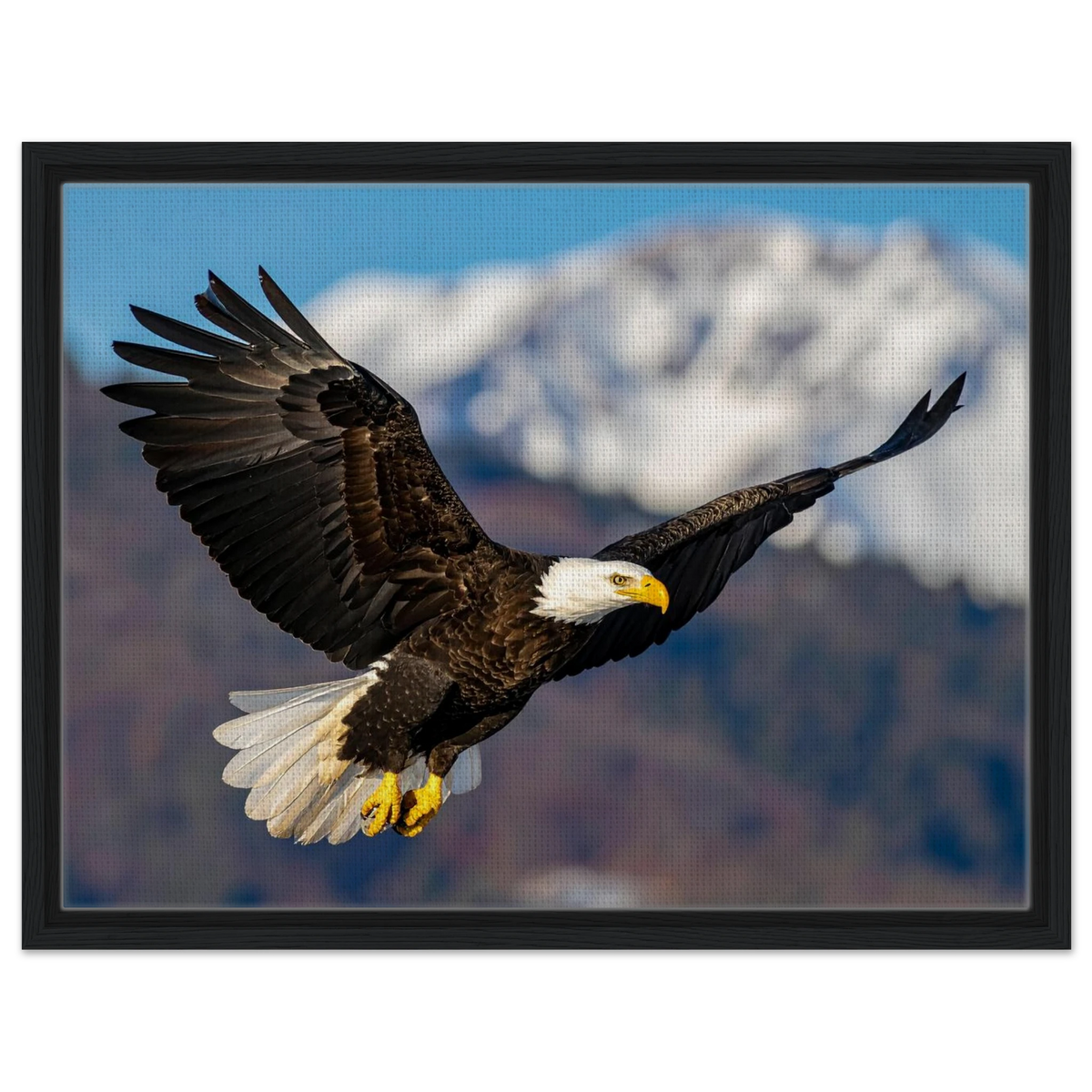 Majestic Soaring Bald Eagle Mountain Wall Art framed canvas in black frame