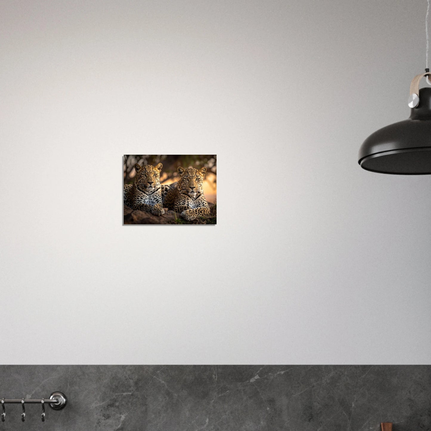 b4262b41-d8e5-4a2c-af2f-939707a201fb