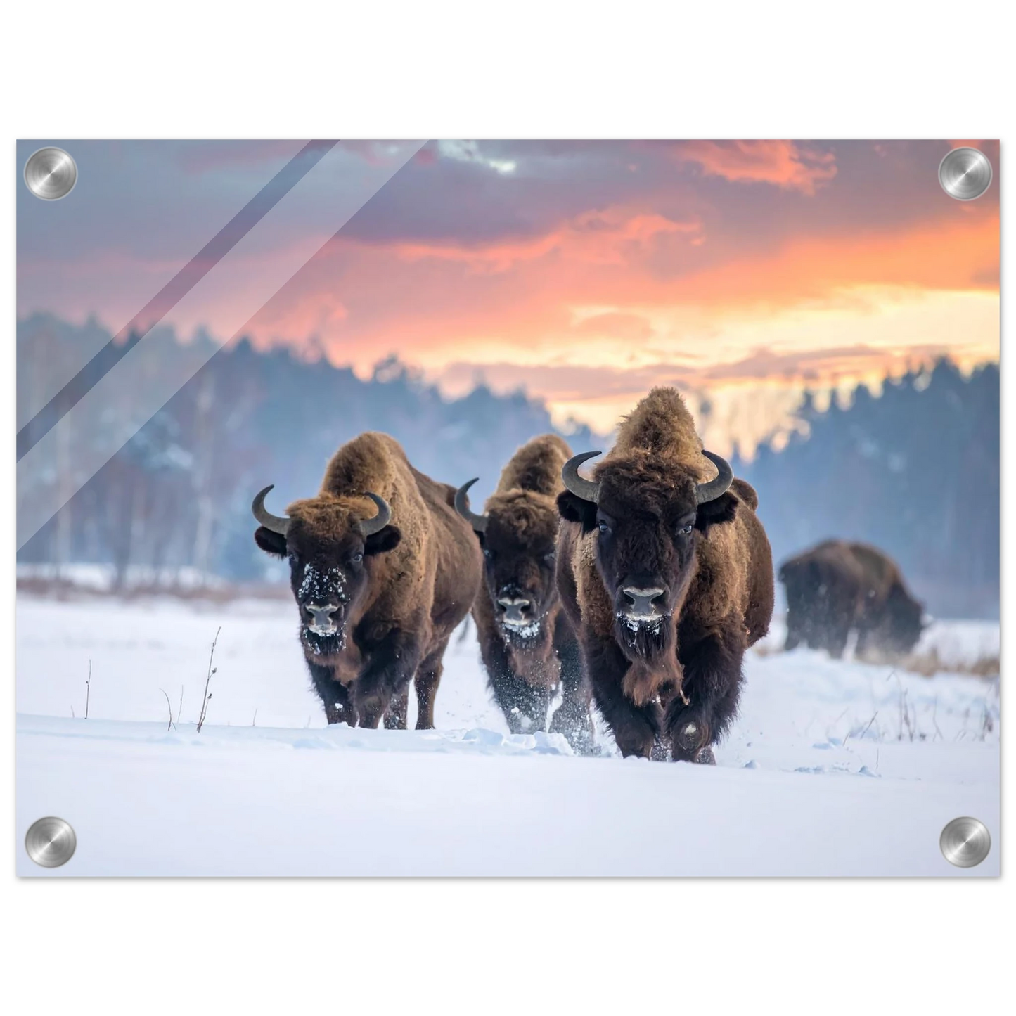 b4435185-bc4f-4906-a74d-bc99f75d01b5