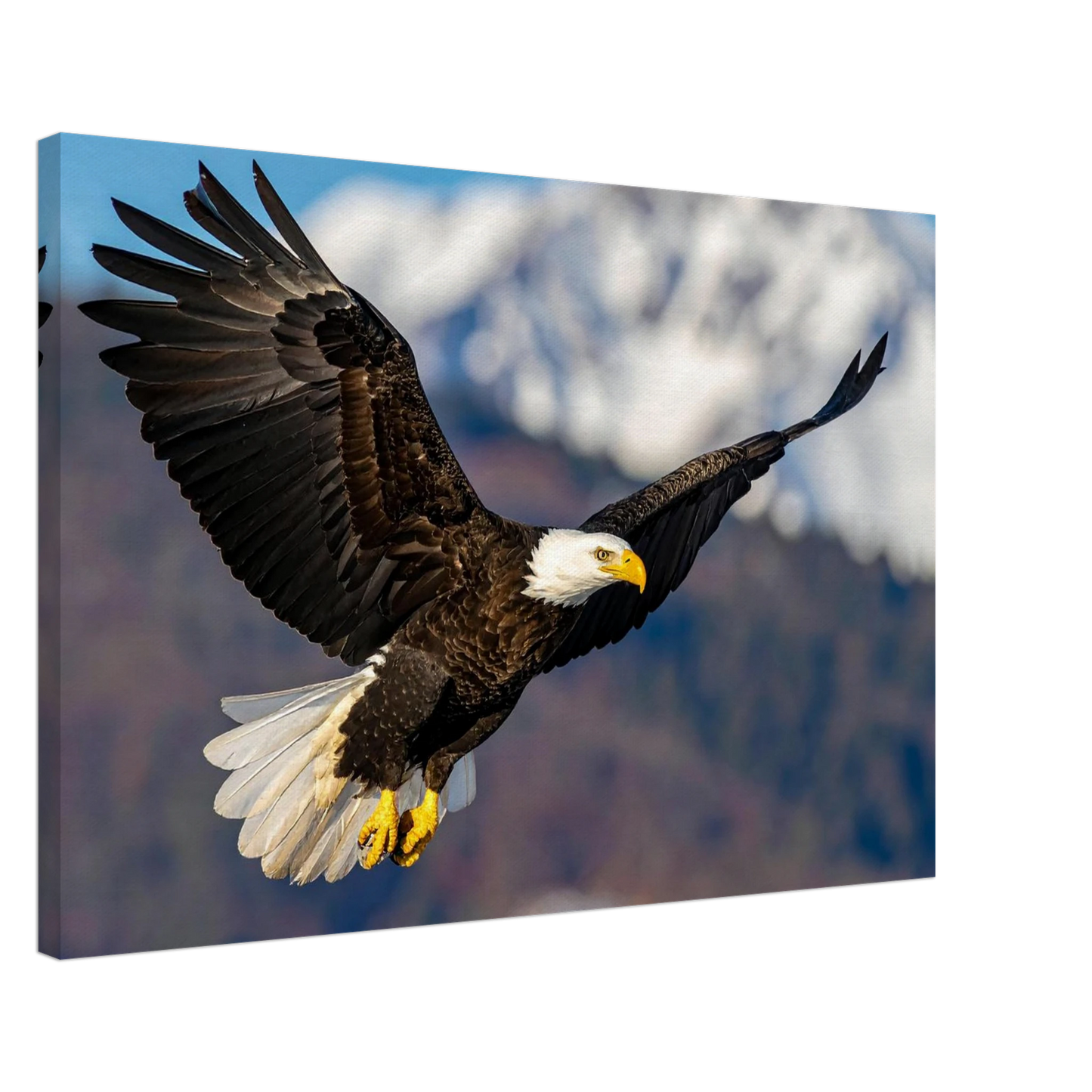 b75eda08-b680-42cf-ae83-b2f551b5ab7d