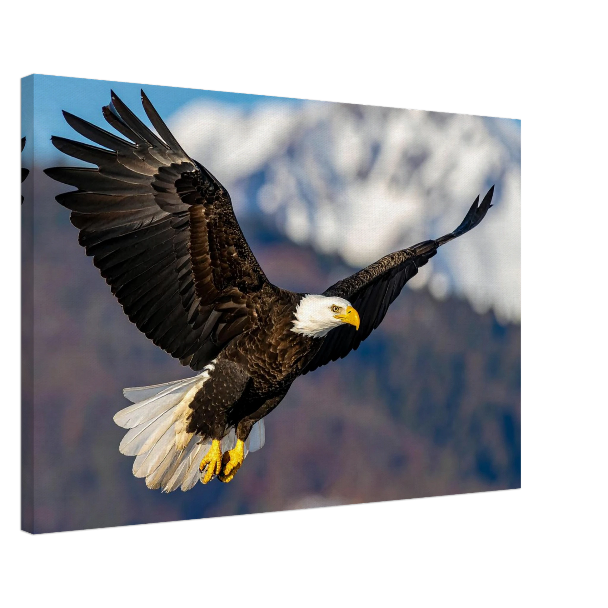 b75eda08-b680-42cf-ae83-b2f551b5ab7d