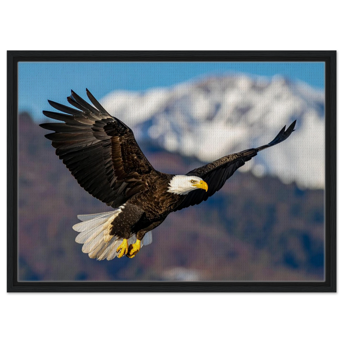 Majestic Soaring Bald Eagle Mountain Wall Art framed canvas in black frame