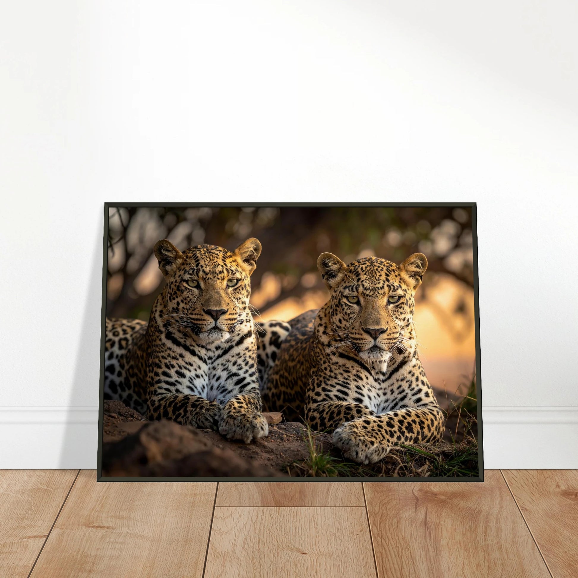 b7e9e07a-0f53-4a05-aaa2-bb1ce904744e