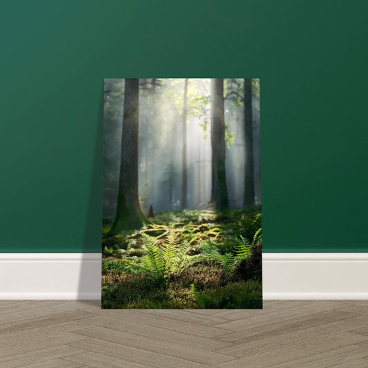 Ethereal early spring forest floor with vibrant green moss and new fern shoots emerging through a layer of morning mist and dappled sunlight.