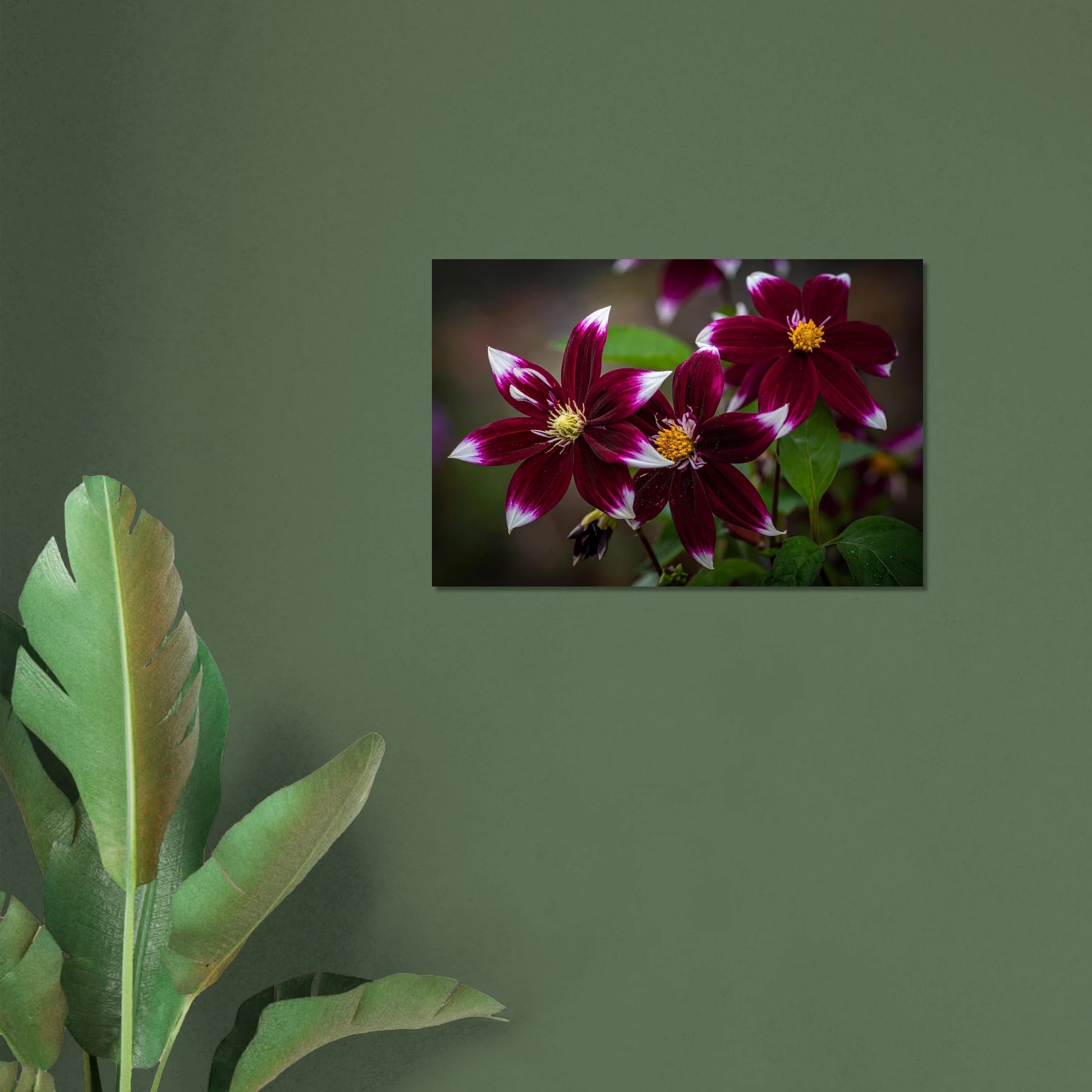 bbbc1ae3-cbf6-4617-b405-c8e56429b70e