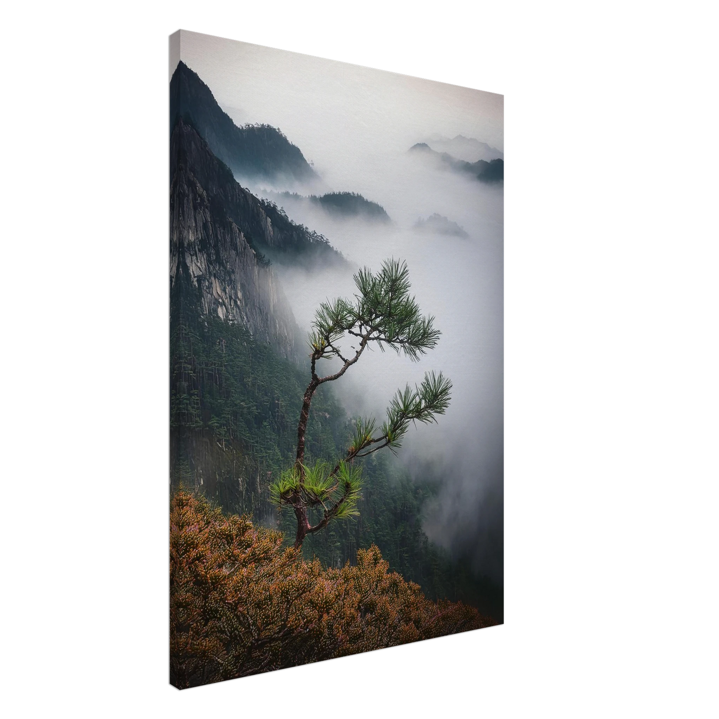 bcbae643-1707-4ba7-a309-dffb949b2101