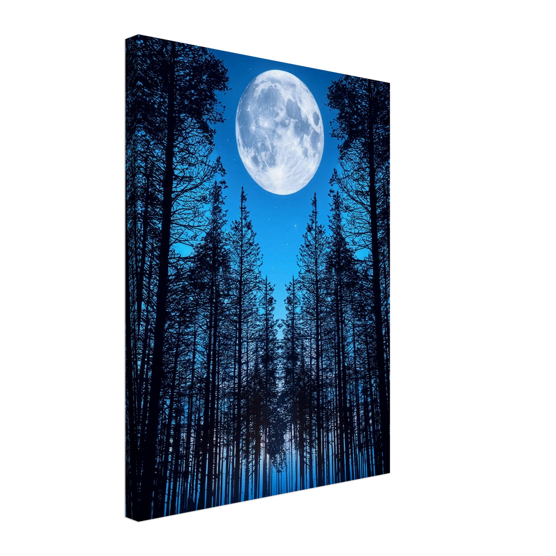 bd01c609-4c33-4365-a776-116417cff0e8