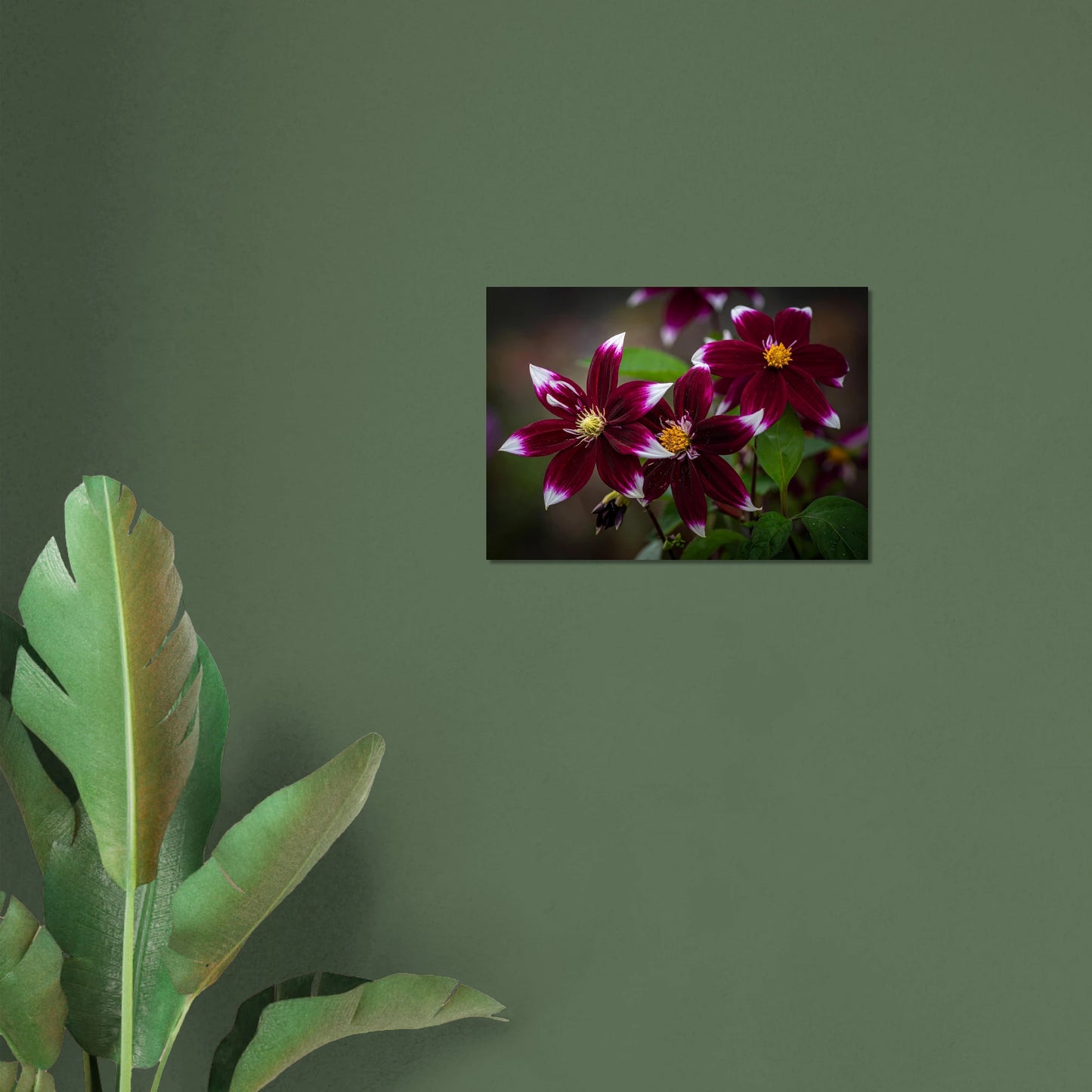 bd65349b-6f1e-4a72-9822-133471873d9b