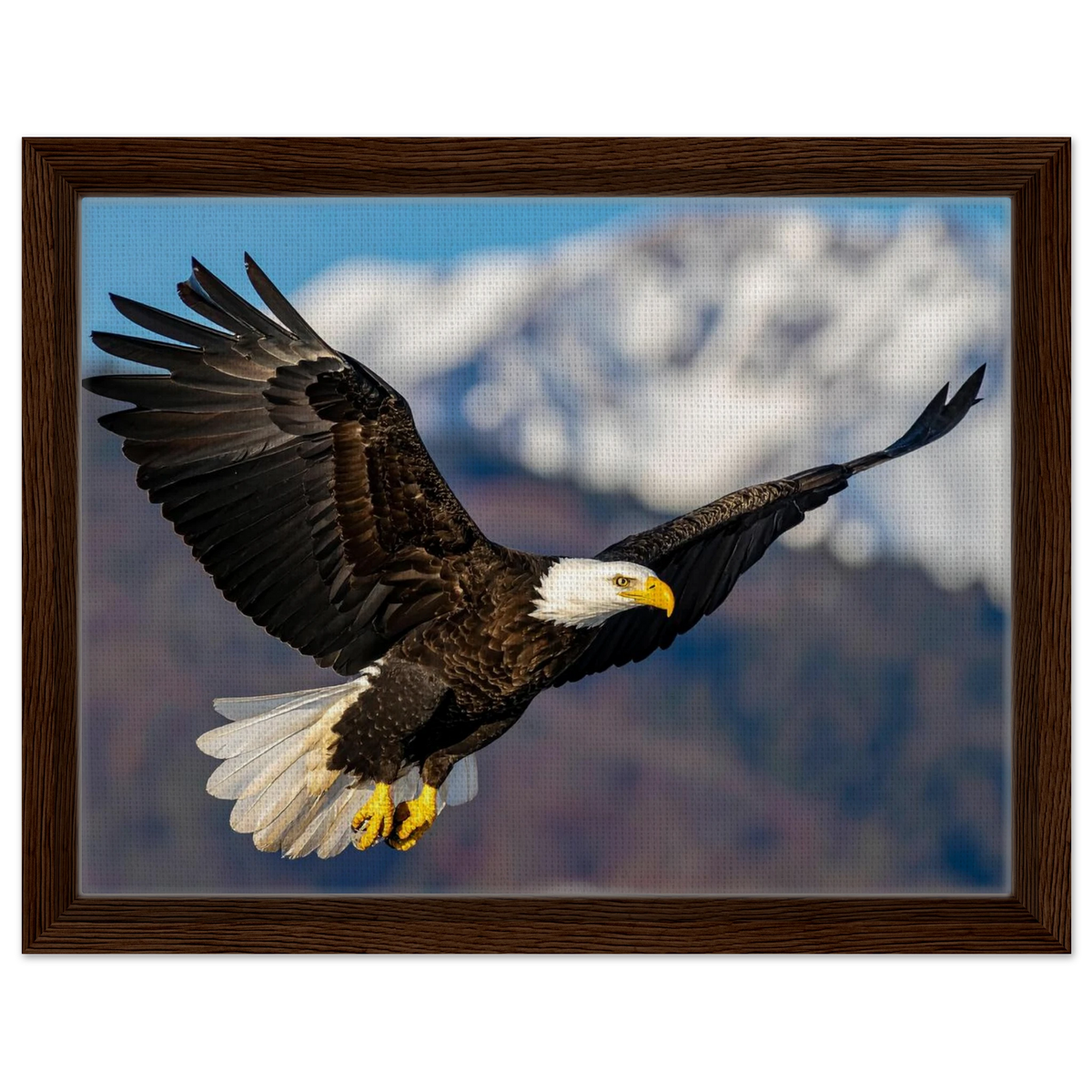 Majestic Soaring Bald Eagle Mountain Wall Art framed canvas in dark wood
