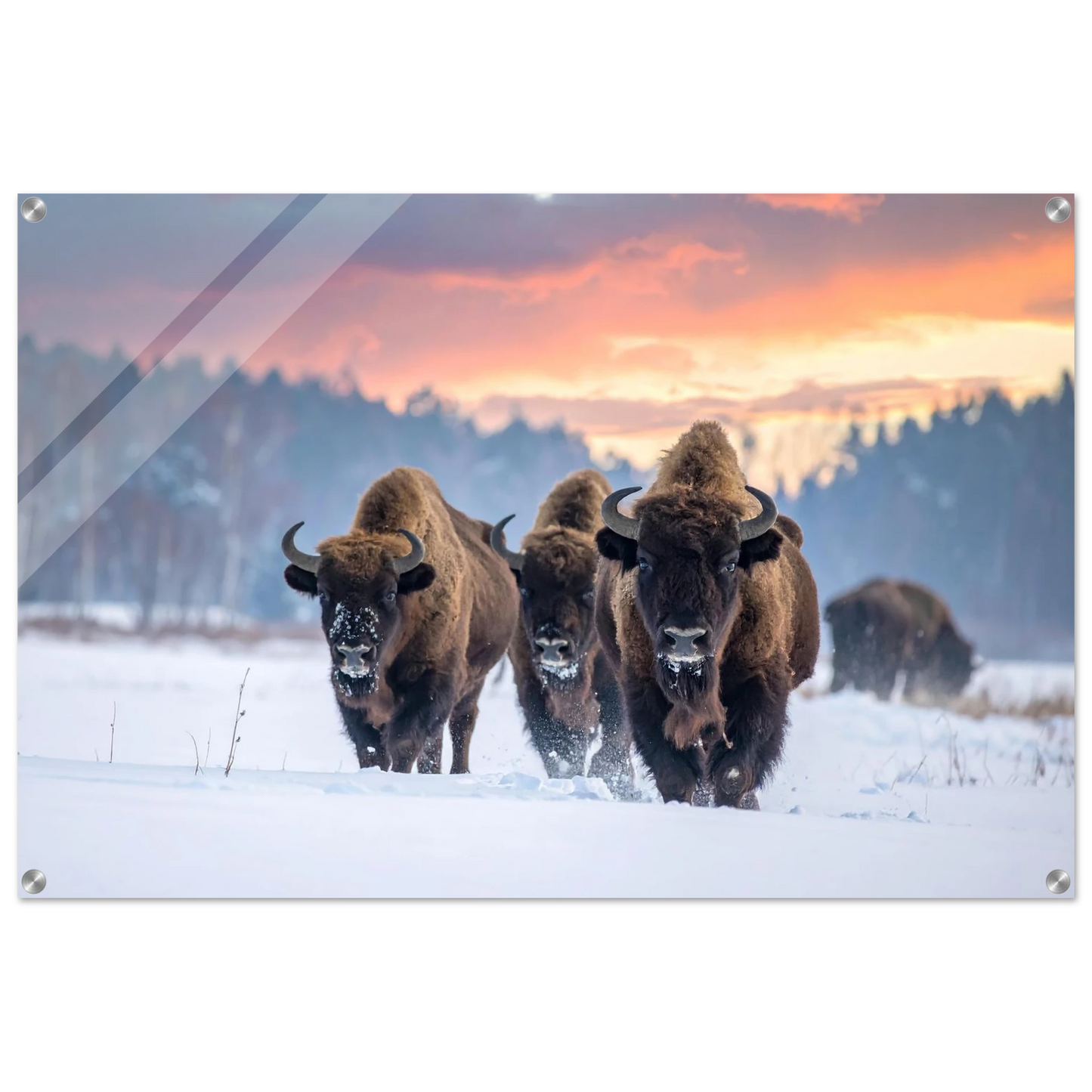 be3c3678-4aac-4cbd-bfc3-6f0871808d50