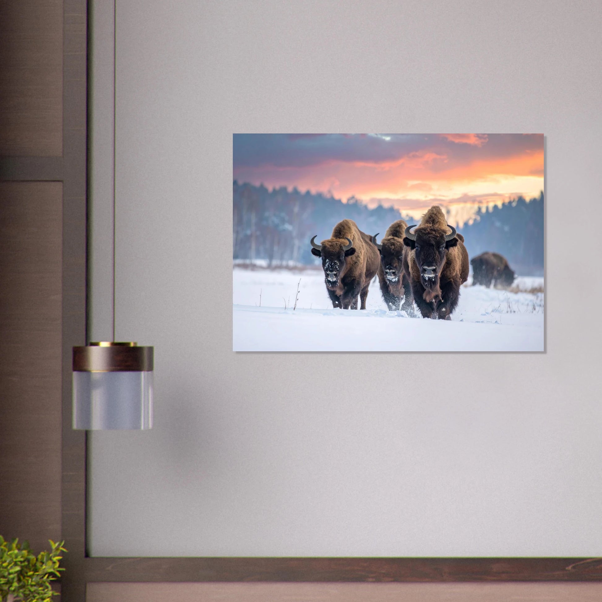 c0171a2c-a2aa-4a89-b9a4-630a1b6ff972