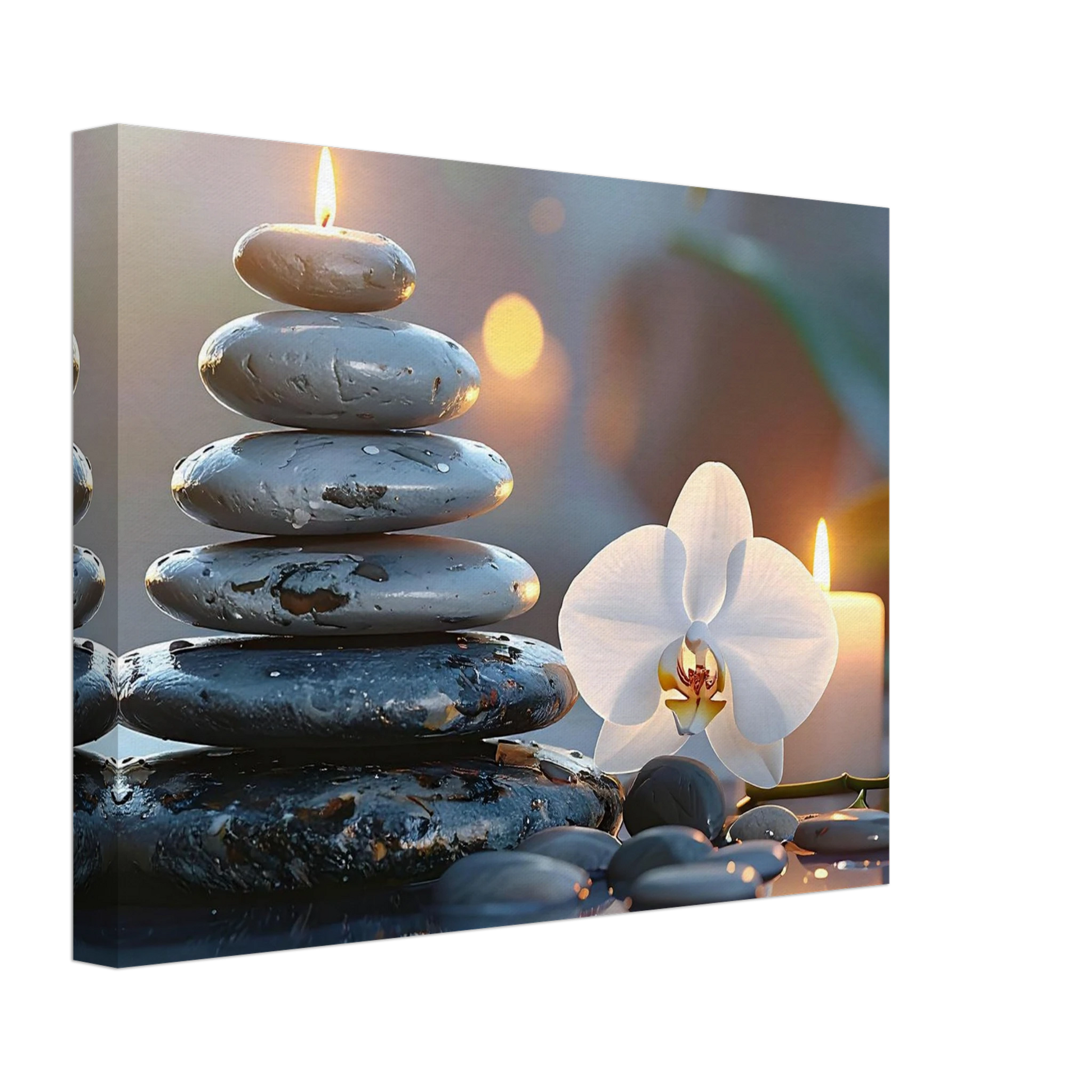 c1c04362-e9a8-4408-a457-a6cd18504909