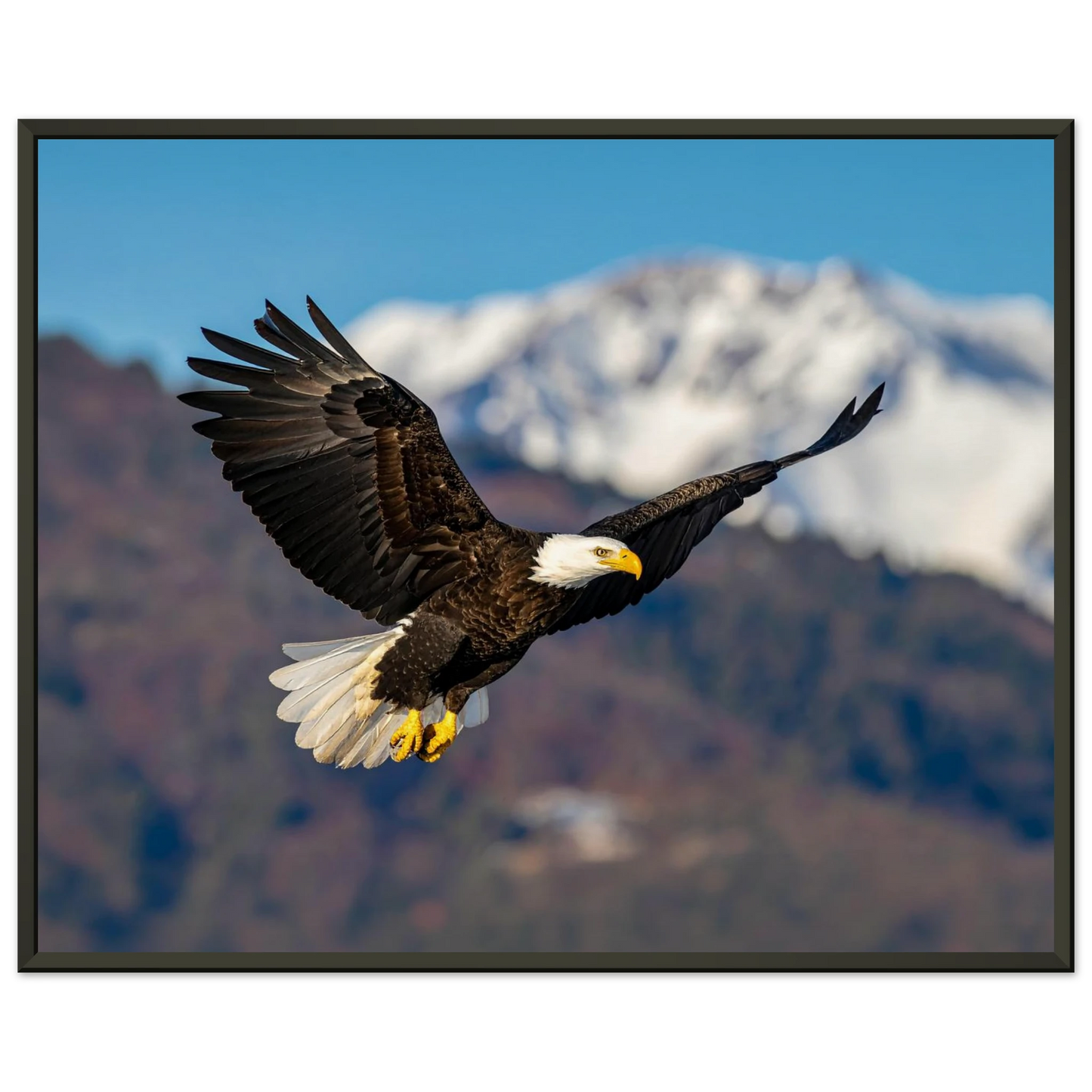 c3926d10-5858-4178-9b98-e106bb2f837f