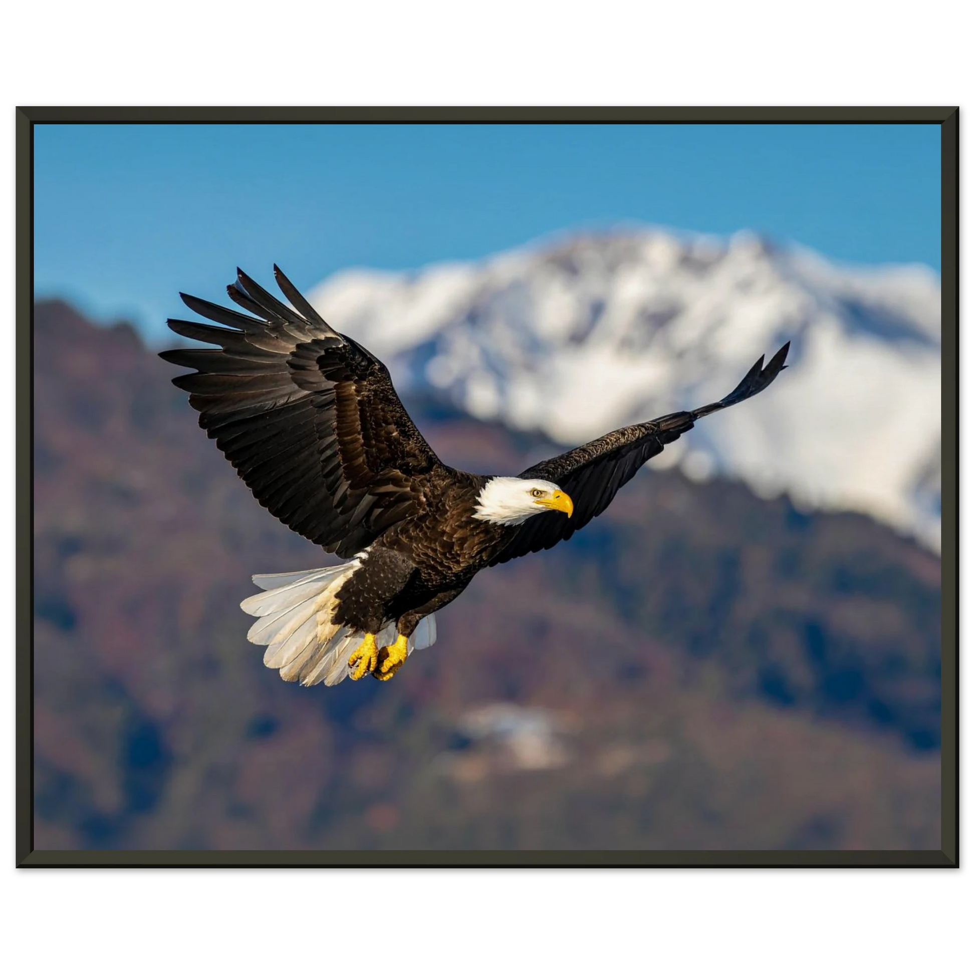 c3926d10-5858-4178-9b98-e106bb2f837f