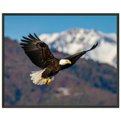 c3926d10-5858-4178-9b98-e106bb2f837f