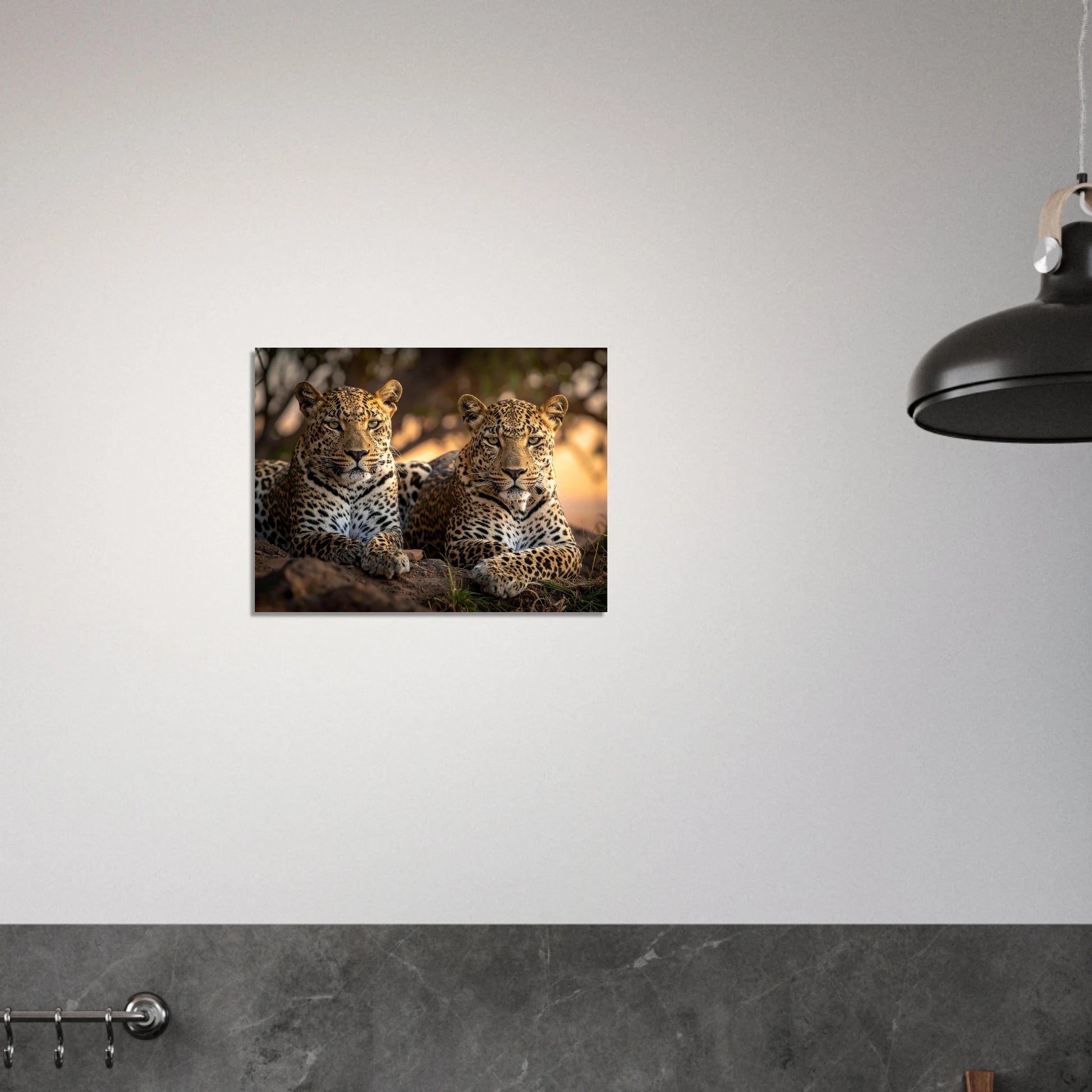 c3b544c8-b7dd-460d-8f03-45a3b157ae84