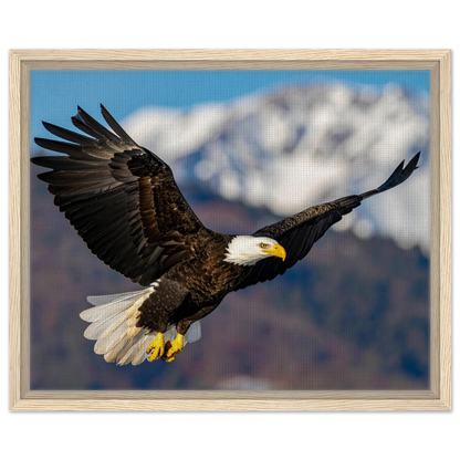 Majestic Soaring Bald Eagle Mountain Wall Art framed canvas in natural wood frame