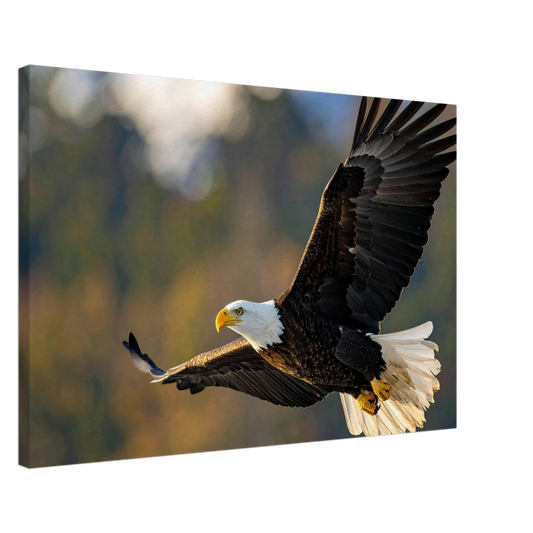 c5fe2db7-7396-4b30-a20a-819399c633a3