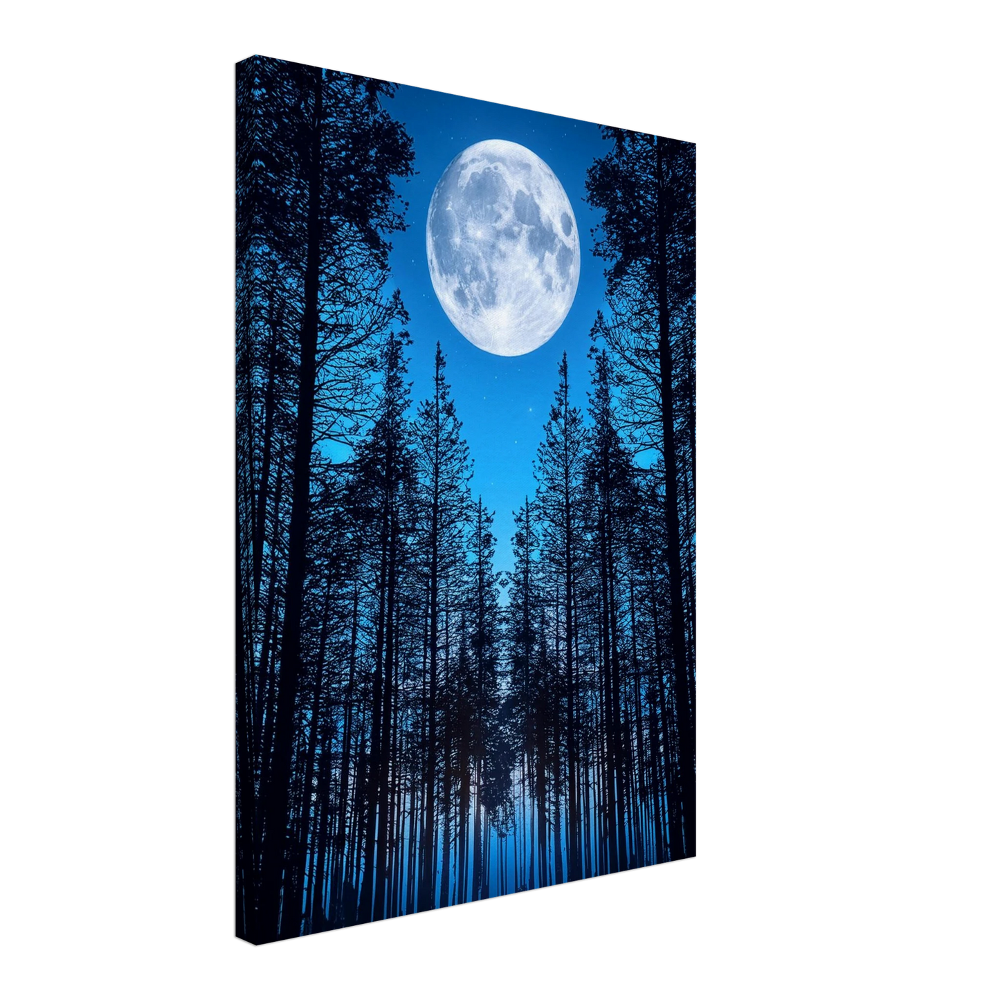 cb9115c8-ad9e-4049-8a47-c0752a8e83a2