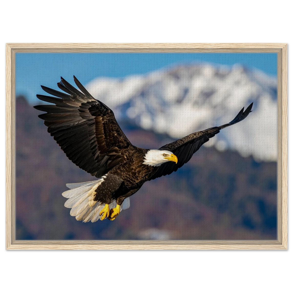 Majestic Soaring Bald Eagle Mountain Wall Art framed canvas in natural wood frame