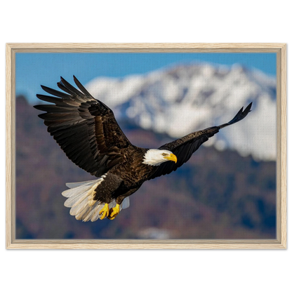 Majestic Soaring Bald Eagle Mountain Wall Art framed canvas in natural wood frame